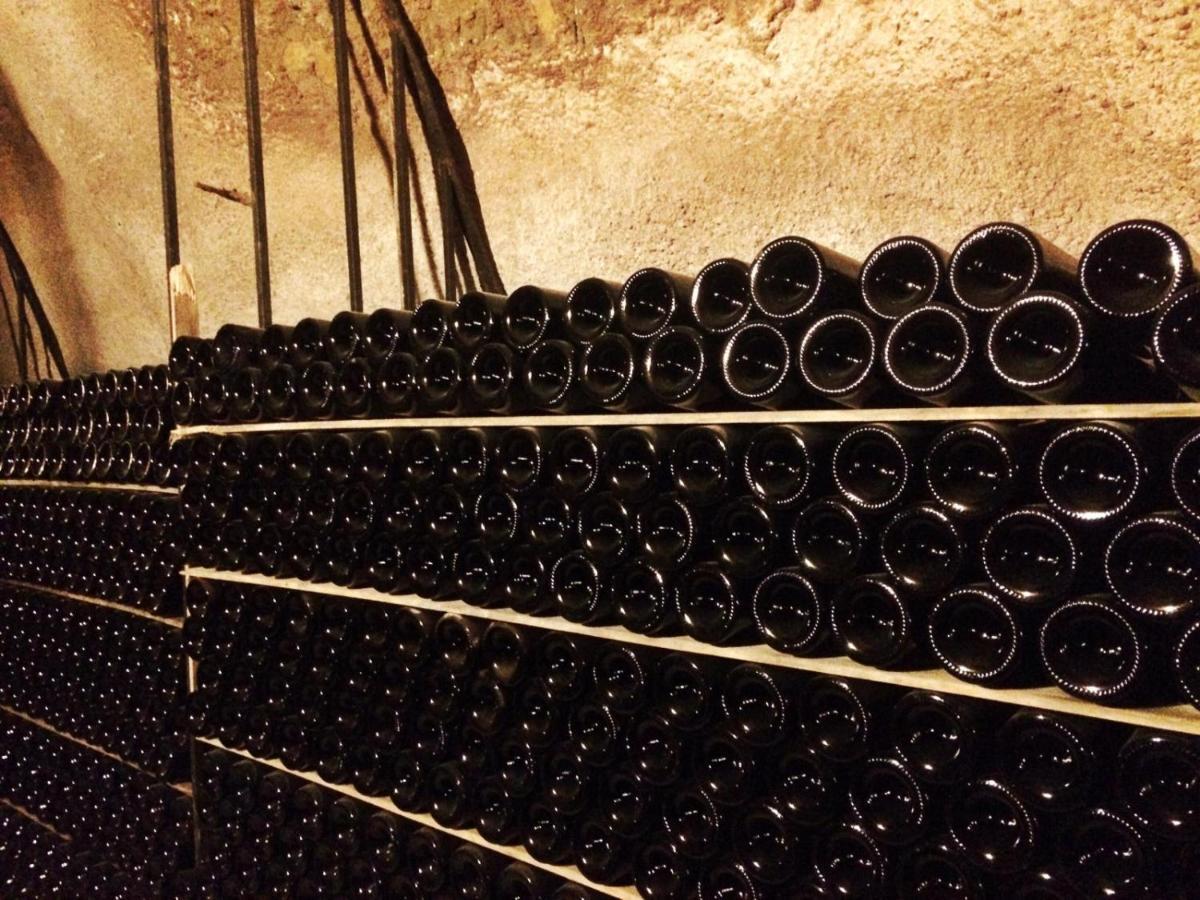Apartamento Ribera Del Duero Reserva Tubilla del Lago المظهر الخارجي الصورة