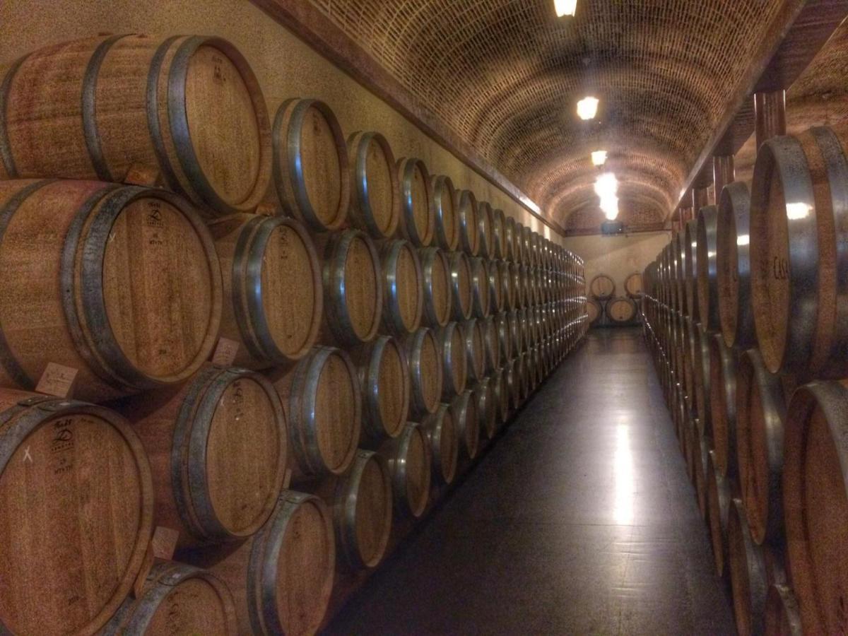Apartamento Ribera Del Duero Reserva Tubilla del Lago المظهر الخارجي الصورة
